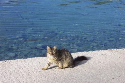 Κάντε κλικ για να δείτε την εικόνα σε πλήρες μέγεθος