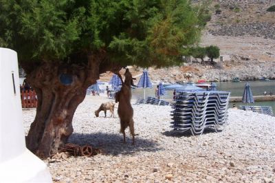 Κάντε κλικ για να δείτε την εικόνα σε πλήρες μέγεθος