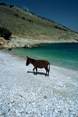 Κάντε κλικ για να δείτε την εικόνα σε πλήρες μέγεθος