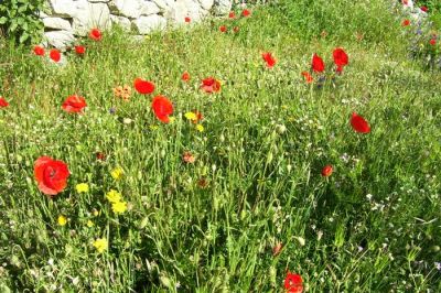 Κάντε κλικ για να δείτε την εικόνα σε πλήρες μέγεθος