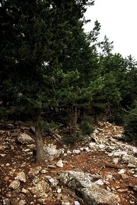 Κάντε κλικ για να δείτε την εικόνα σε πλήρες μέγεθος