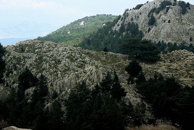 Tam boy resmi görebilmek için tıklayın