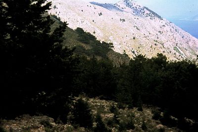 Tam boy resmi görebilmek için tıklayın