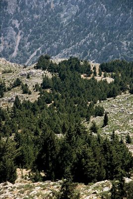 Κάντε κλικ για να δείτε την εικόνα σε πλήρες μέγεθος