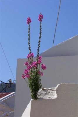 Κάντε κλικ για να δείτε την εικόνα σε πλήρες μέγεθος