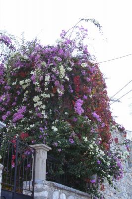 Κάντε κλικ για να δείτε την εικόνα σε πλήρες μέγεθος