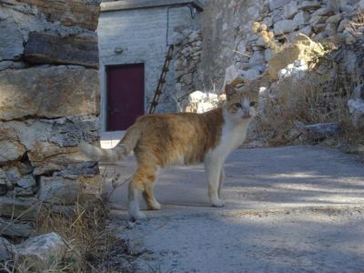 Κάντε κλικ για να δείτε την εικόνα σε πλήρες μέγεθος