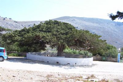 Κάντε κλικ για να δείτε την εικόνα σε πλήρες μέγεθος