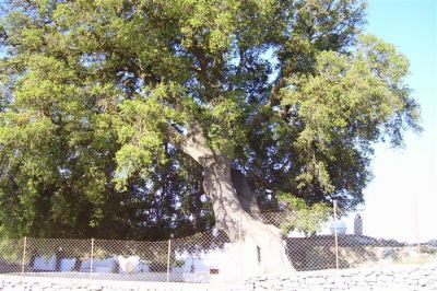 Κάντε κλικ για να δείτε την εικόνα σε πλήρες μέγεθος