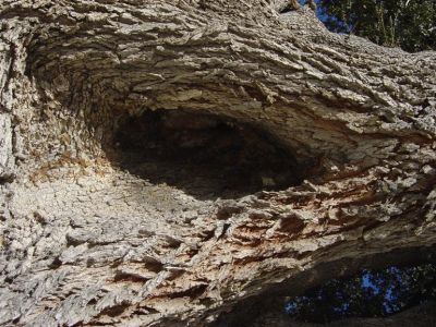 Κάντε κλικ για να δείτε την εικόνα σε πλήρες μέγεθος