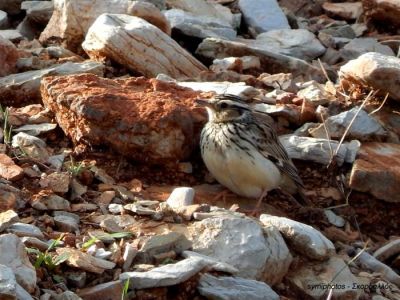 Κάντε κλικ για να δείτε την εικόνα σε πλήρες μέγεθος