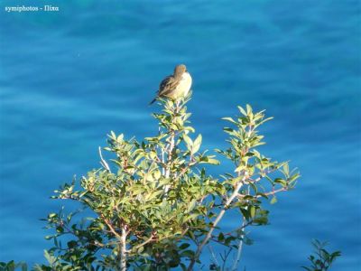 Κάντε κλικ για να δείτε την εικόνα σε πλήρες μέγεθος