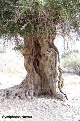 Κάντε κλικ για να δείτε την εικόνα σε πλήρες μέγεθος