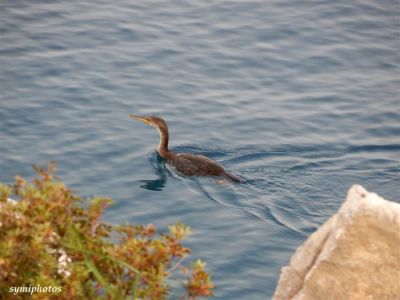 Κάντε κλικ για να δείτε την εικόνα σε πλήρες μέγεθος