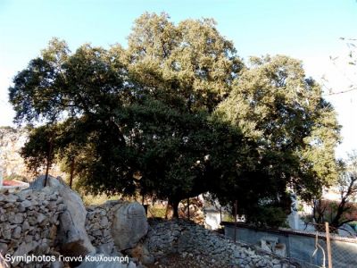 Κάντε κλικ για να δείτε την εικόνα σε πλήρες μέγεθος