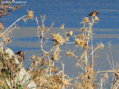 Κάντε κλικ για να δείτε την εικόνα σε πλήρες μέγεθος