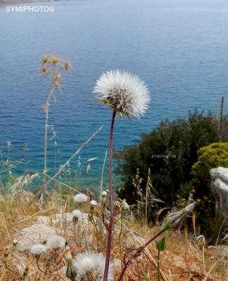 Κάντε κλικ για να δείτε την εικόνα σε πλήρες μέγεθος