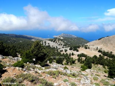 Κάντε κλικ για να δείτε την εικόνα σε πλήρες μέγεθος