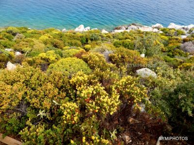 Κάντε κλικ για να δείτε την εικόνα σε πλήρες μέγεθος