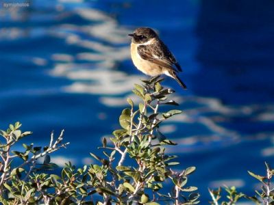 Κάντε κλικ για να δείτε την εικόνα σε πλήρες μέγεθος