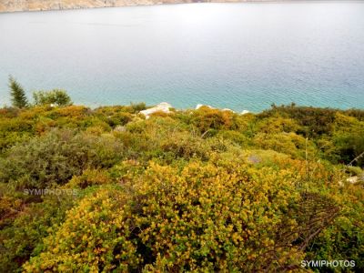 Κάντε κλικ για να δείτε την εικόνα σε πλήρες μέγεθος