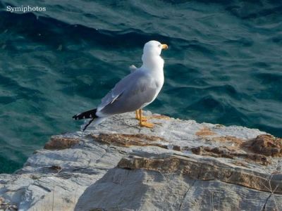 Κάντε κλικ για να δείτε την εικόνα σε πλήρες μέγεθος