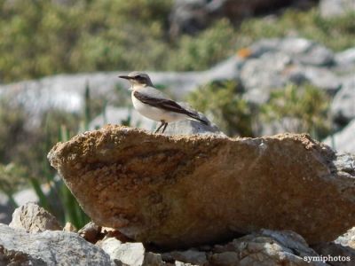 Κάντε κλικ για να δείτε την εικόνα σε πλήρες μέγεθος