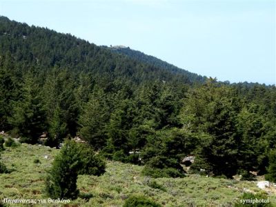 Κάντε κλικ για να δείτε την εικόνα σε πλήρες μέγεθος