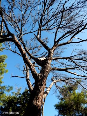 Κάντε κλικ για να δείτε την εικόνα σε πλήρες μέγεθος