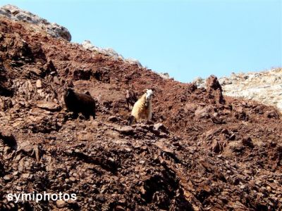 Κάντε κλικ για να δείτε την εικόνα σε πλήρες μέγεθος