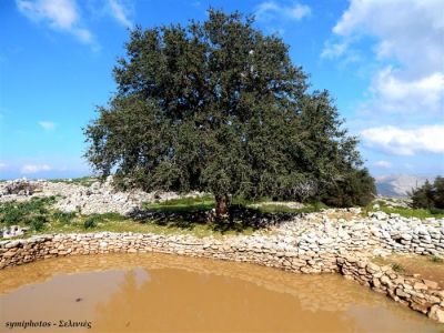 Κάντε κλικ για να δείτε την εικόνα σε πλήρες μέγεθος