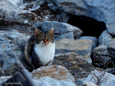 Κάντε κλικ για να δείτε την εικόνα σε πλήρες μέγεθος