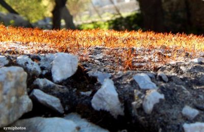 Κάντε κλικ για να δείτε την εικόνα σε πλήρες μέγεθος