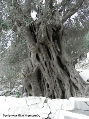 Κάντε κλικ για να δείτε την εικόνα σε πλήρες μέγεθος