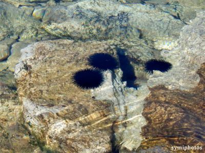 Κάντε κλικ για να δείτε την εικόνα σε πλήρες μέγεθος