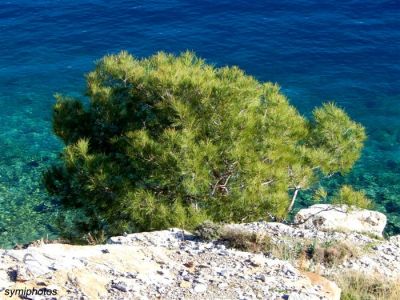 Κάντε κλικ για να δείτε την εικόνα σε πλήρες μέγεθος