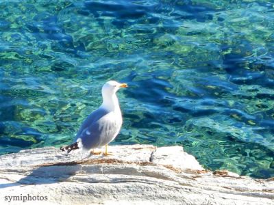 Κάντε κλικ για να δείτε την εικόνα σε πλήρες μέγεθος