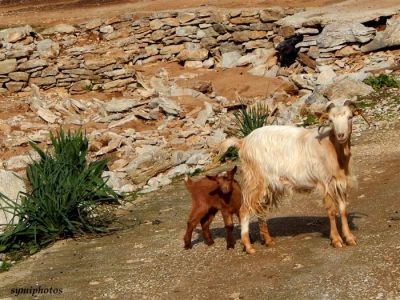 Κάντε κλικ για να δείτε την εικόνα σε πλήρες μέγεθος