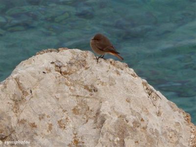 Κάντε κλικ για να δείτε την εικόνα σε πλήρες μέγεθος