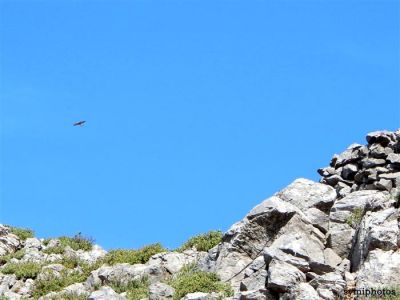 Κάντε κλικ για να δείτε την εικόνα σε πλήρες μέγεθος