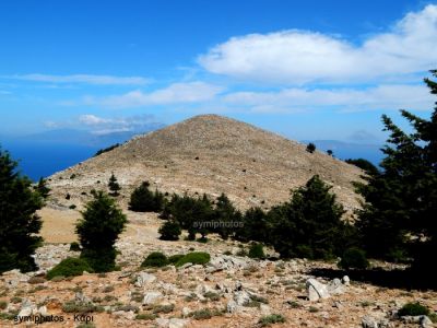 Κάντε κλικ για να δείτε την εικόνα σε πλήρες μέγεθος