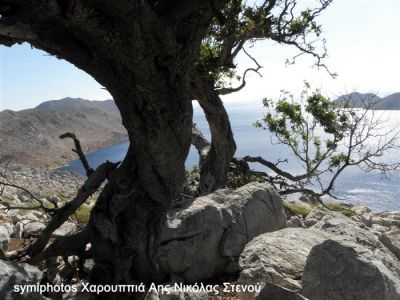 Κάντε κλικ για να δείτε την εικόνα σε πλήρες μέγεθος