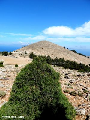 Κάντε κλικ για να δείτε την εικόνα σε πλήρες μέγεθος