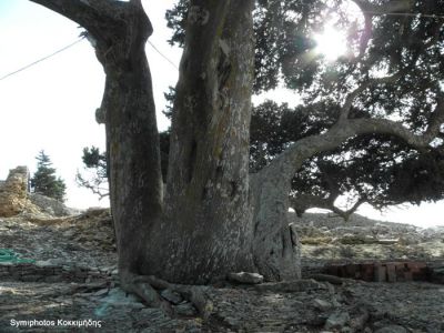 Κάντε κλικ για να δείτε την εικόνα σε πλήρες μέγεθος