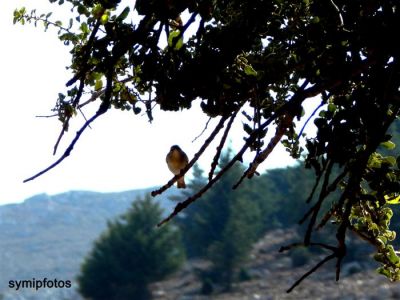 Κάντε κλικ για να δείτε την εικόνα σε πλήρες μέγεθος