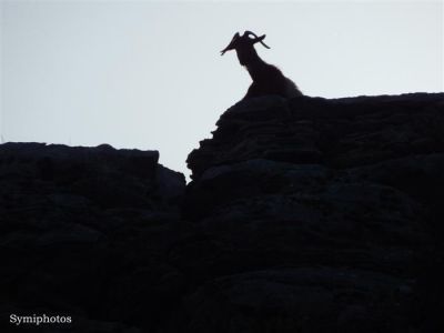 Κάντε κλικ για να δείτε την εικόνα σε πλήρες μέγεθος