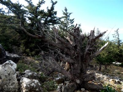 Κάντε κλικ για να δείτε την εικόνα σε πλήρες μέγεθος