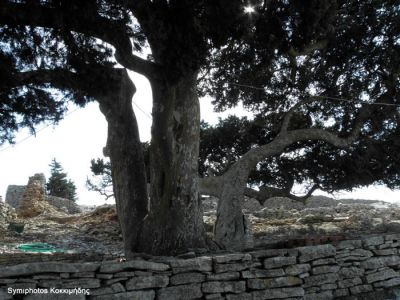 Κάντε κλικ για να δείτε την εικόνα σε πλήρες μέγεθος