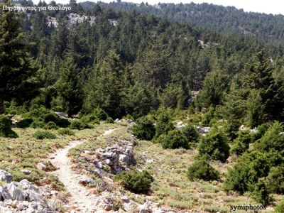 Tam boy resmi görebilmek için tıklayın