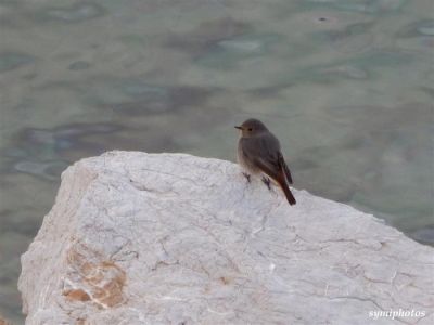 Κάντε κλικ για να δείτε την εικόνα σε πλήρες μέγεθος